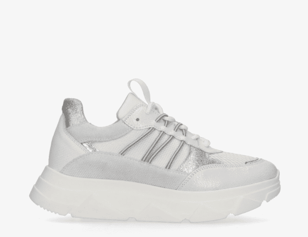 sneaker-Tango